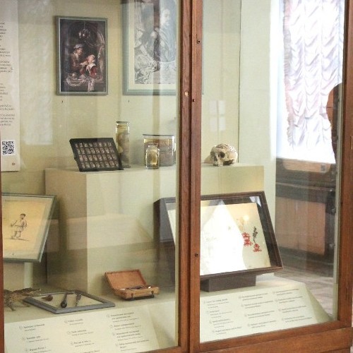 «С великим трудом и всякими финессами церебрум во кране достал»: из истории одного экспоната Кунсткамеры